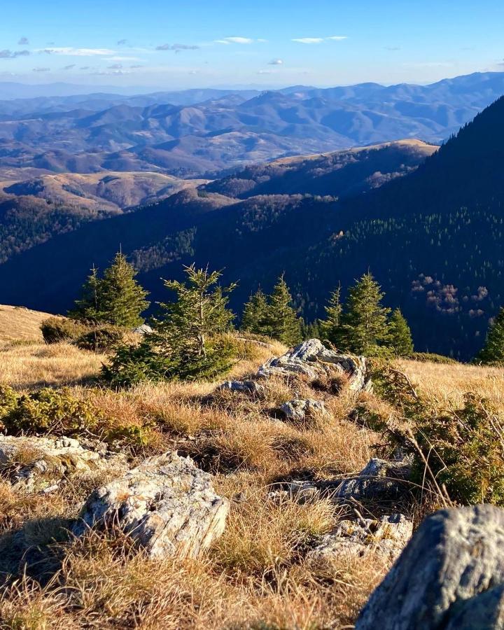 Ivkovic Spa Milmari N16 Kopaonik Esterno foto