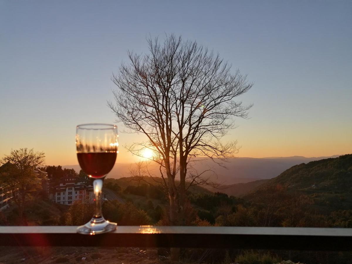 Ivkovic Spa Milmari N16 Kopaonik Esterno foto